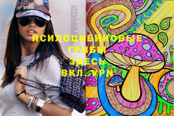 гидропоника Алексин