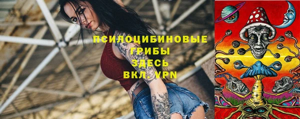 прущие грибы Алексеевка