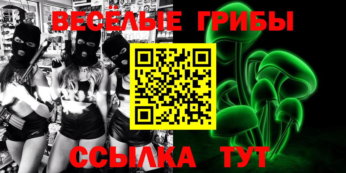 Гурьевск  Псилоцибиновые грибы прущие грибы  Псилоцибиновые грибы MAGIC MUSHROOMS  Вход с VPN 